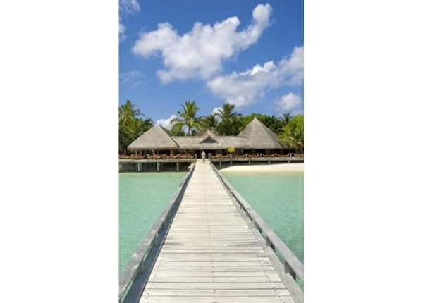Non-woven kuvatapetti Jetty