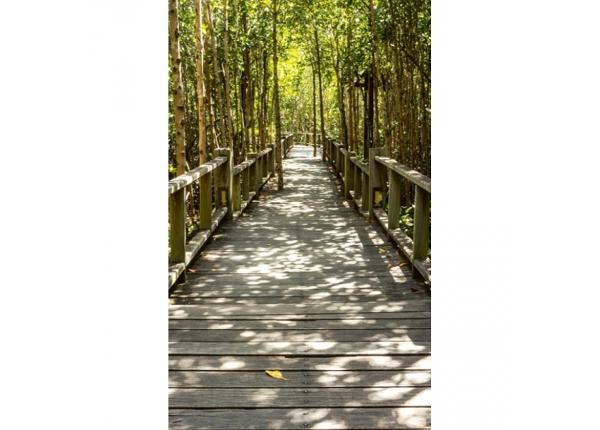 Non-woven kuvatapetti Mangrove forest