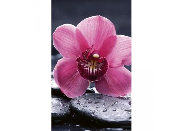 Non-woven kuvatapetti Orchid