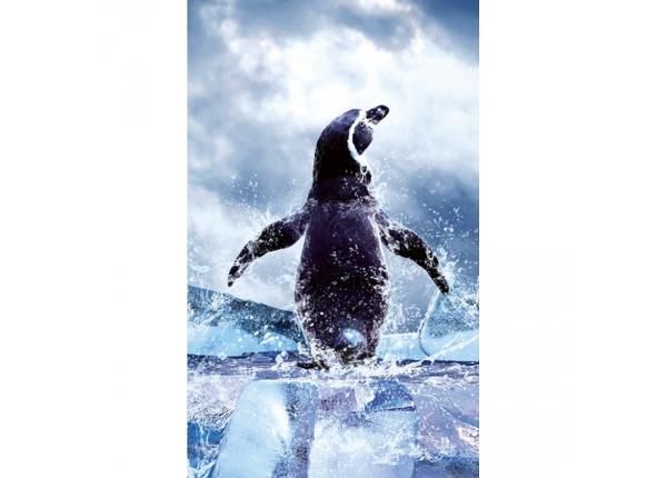 Non-woven kuvatapetti Penguin