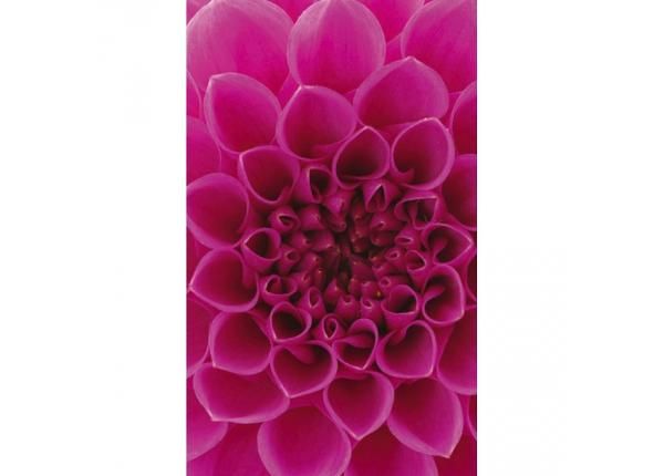 Non-woven kuvatapetti Pink dahlia