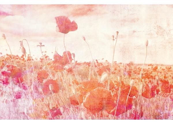 Non-woven kuvatapetti Poppies Abstract