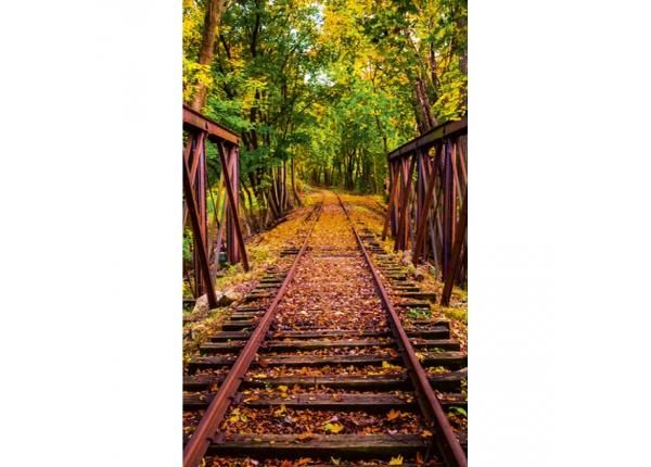 Non-woven kuvatapetti Railroad