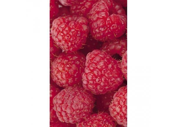 Non-woven kuvatapetti Raspberry