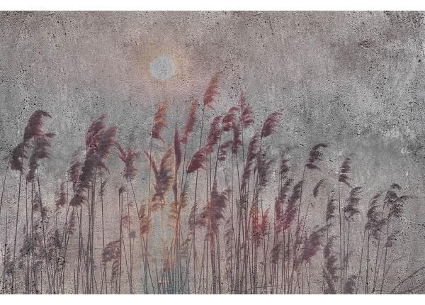 Non-woven kuvatapetti Reed Abstract