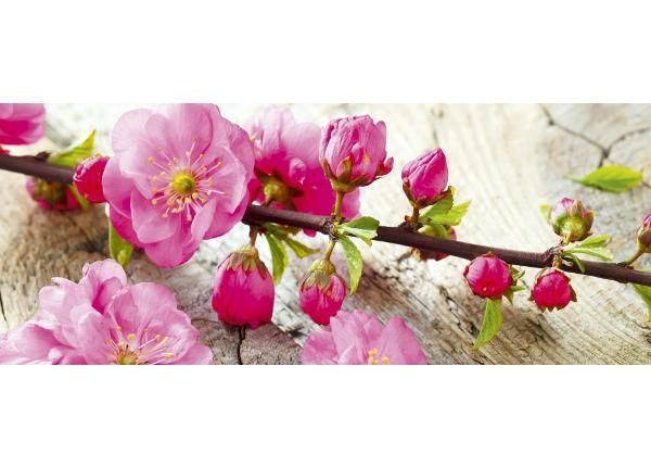 Non-woven kuvatapetti Sakura 375x150 cm