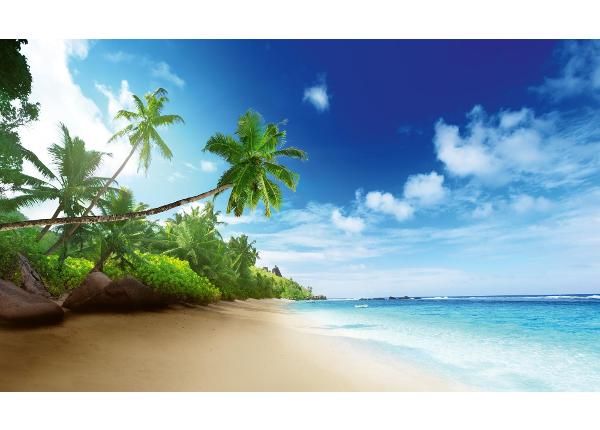 Non-woven kuvatapetti Seychelles Beach