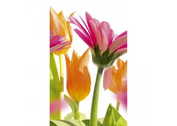 Non-woven kuvatapetti Spring flowers