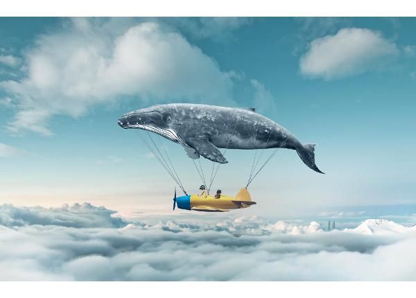 Non-woven kuvatapetti Take Me To The Dream