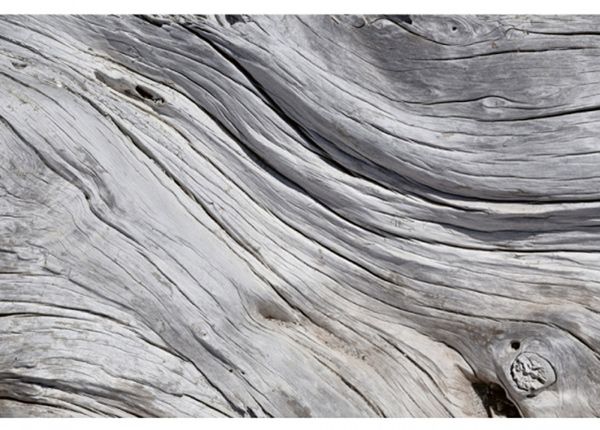 Non-woven kuvatapetti Tree texture