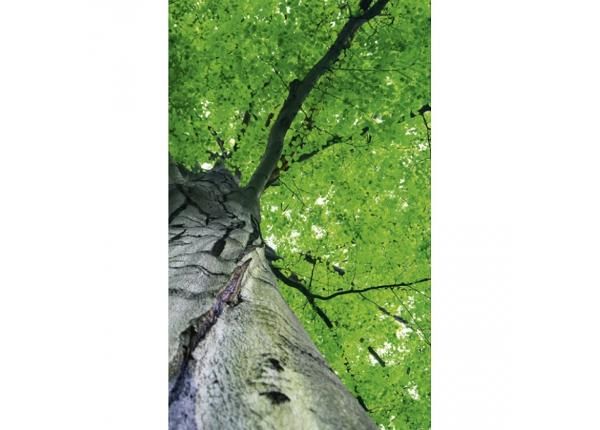 Non-woven kuvatapetti Treetop