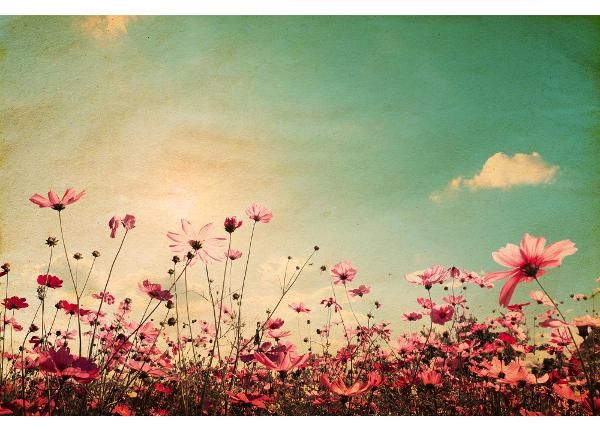 Non-woven kuvatapetti Vintage Landscape Nature Background