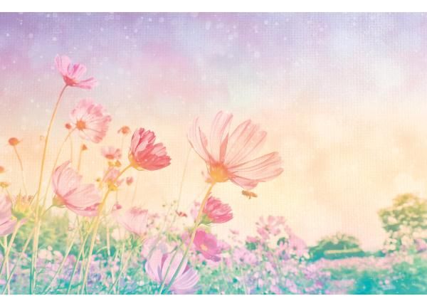 Non-woven kuvatapetti Vintage Pastel Flowers