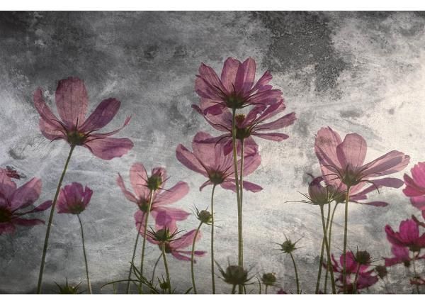Non-woven kuvatapetti Violet Flower Abstract