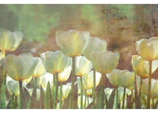Non-woven kuvatapetti White Tulips Abstract