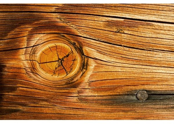 Non-woven kuvatapetti Wood knot