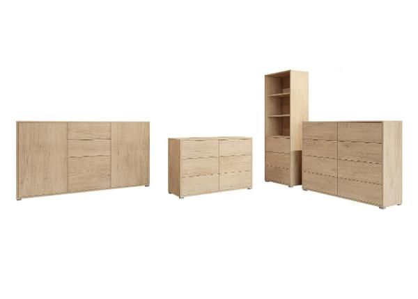 Olohuoneen kalusteryhmä Gesita II