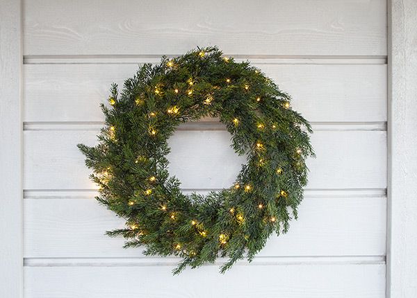 Oviseppele Thuja 60 cm, vihreä