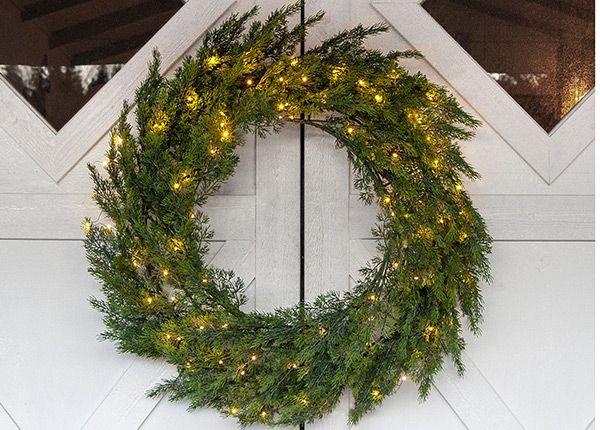 Oviseppele Thuja 80 cm, vihreä
