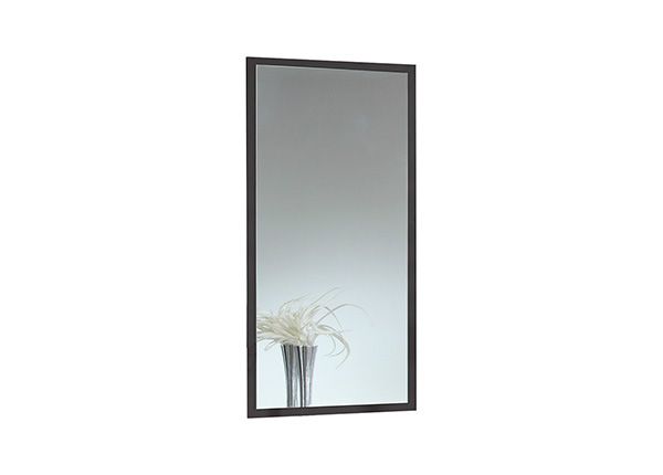 Peili Stockholm 115x47 cm
