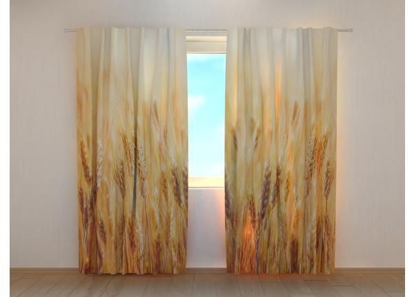 Pimennysverho Golden Wheat Field 240x220 cm