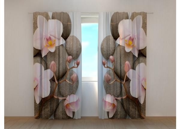Pimennysverho Vienna Orchid 240x220 cm