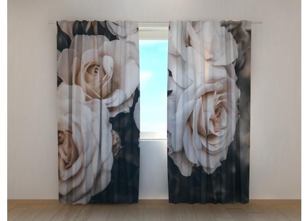 Pimennysverhot Beautiful Pastel Roses in the Garden 240x220 cm