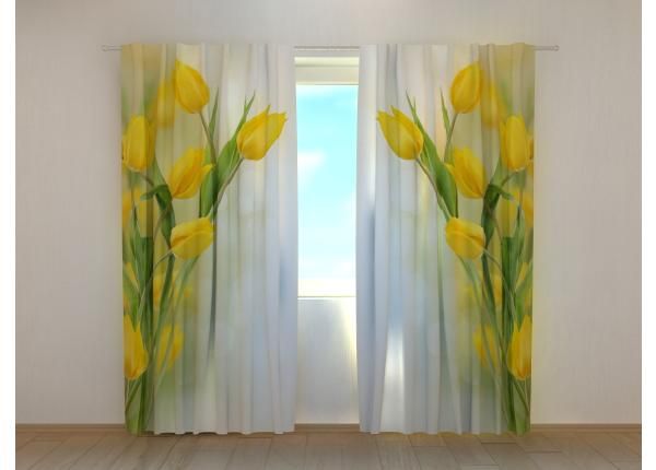 Pimennysverhot Beautiful Yellow Tulips 240x220 cm