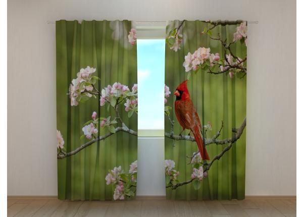 Pimennysverhot Bird Cardinal on a Spring Twig 240x220 cm