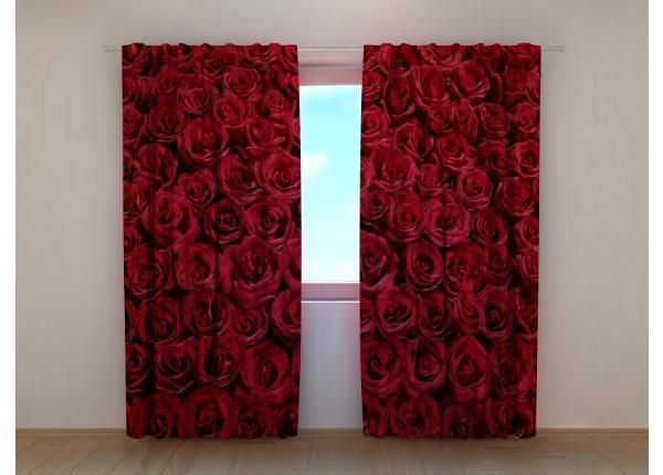 Pimennysverhot Lovely Red Roses 240x220 cm