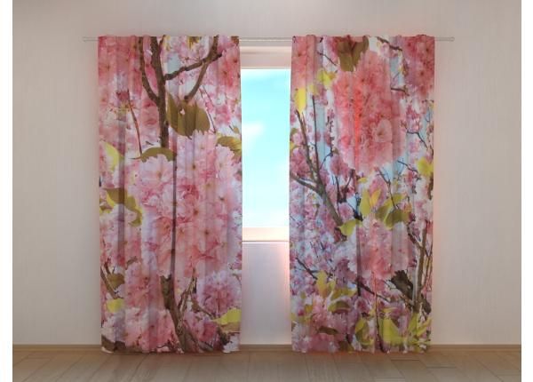 Pimennysverhot Pink Sakura 240x220 cm