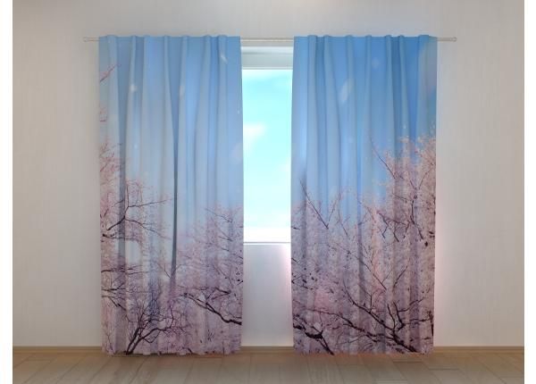 Pimennysverhot Sakura Cherry Blossoms in Japan 240x220 cm