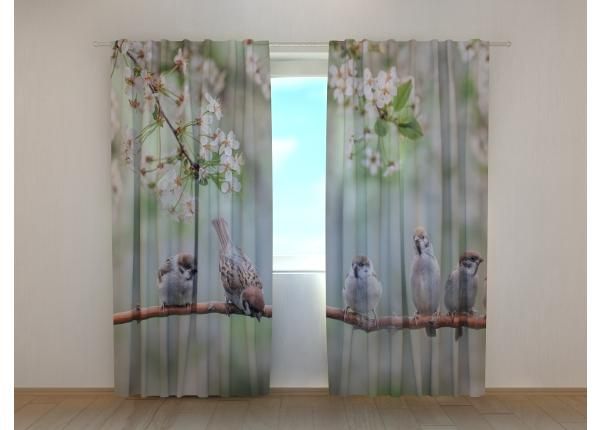 Pimennysverhot Small Birds on a Blooming Tree 240x220 cm
