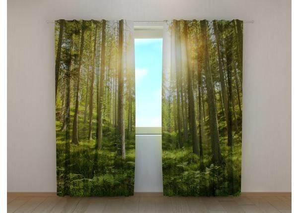 Pimennysverhot Sunny Forest 240x220 cm
