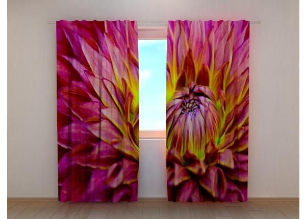 Puolipimentävä kuvaverho Delicate Dahlia Flower 240x220 cm