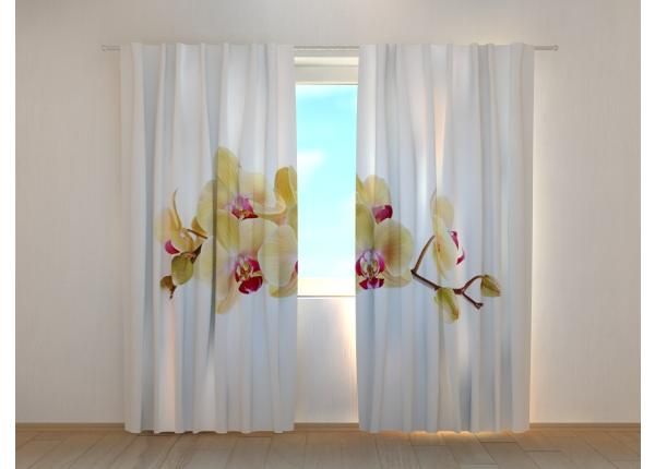 Puolipimentävä kuvaverho Golden Orchid on White 240x220 cm