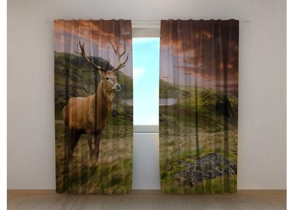 Puolipimentävä kuvaverho Red Deer at Sunset 240x220 cm
