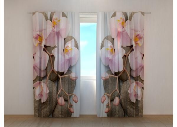 Puolipimentävä kuvaverho Vienna Orchid 2 240x220 cm
