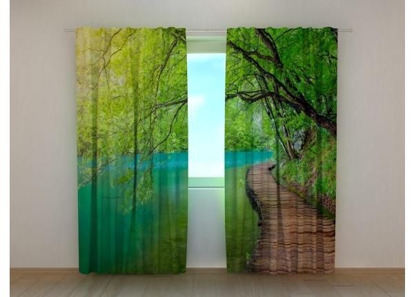 Puolipimentävä kuvaverho Wooden Path in the Forest 240x220 cm