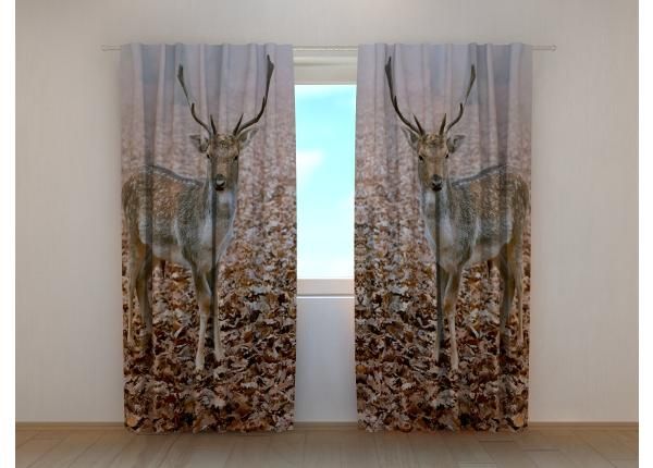 Puolipimentävä kuvaverho Young Deer in Autumn Forest 240x220 cm