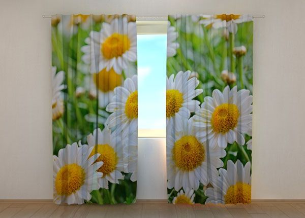 Puolipimentävä verho White camomiles 240x220 cm