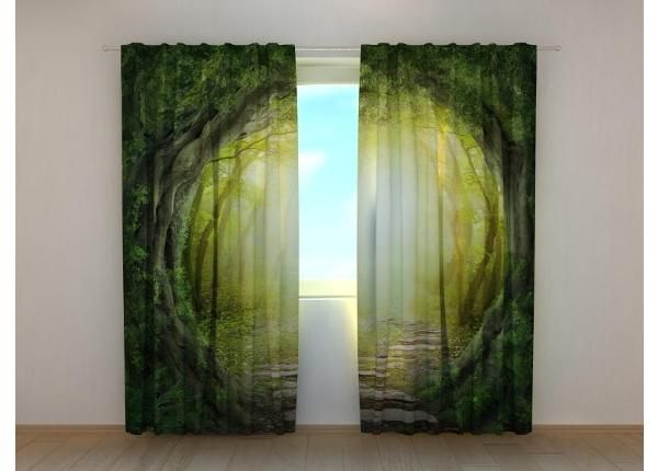 Puolipimentävät verhot Road to the Magic Forest 240x220 cm