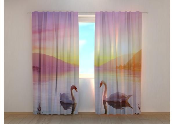 Puolipimentävät verhot Swans on the Lake at Sunrise 240x220 cm