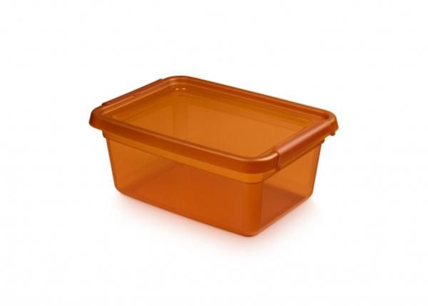 Säilytyslaatikko BaseStore 12,5 L, 28x38xh16 cm oranssi