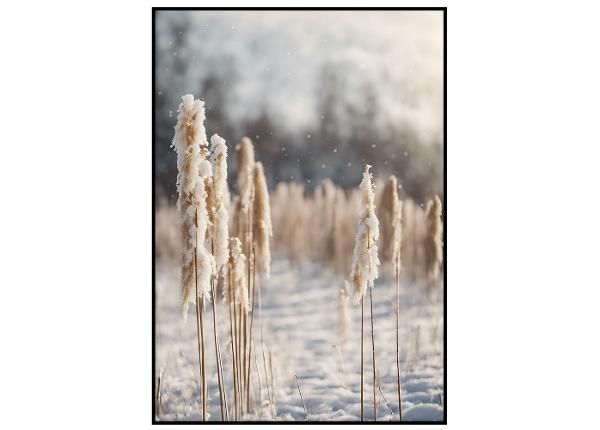 Seinäjuliste Lumiset kaislat I