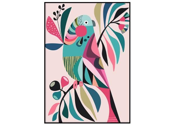 Seinäjuliste Parakeet