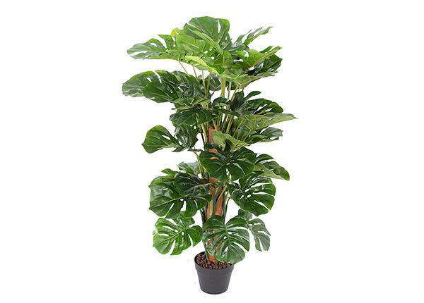 Tekokukka Monstera 105 cm
