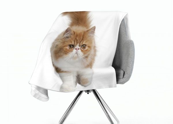 Torkkupeitto Fluffy Cat 150x200 cm