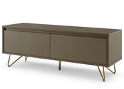 TV-taso